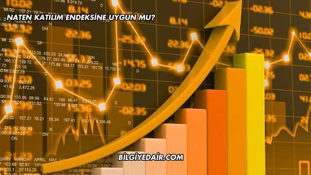 Naten Katılım Endeksine Uygun mu?