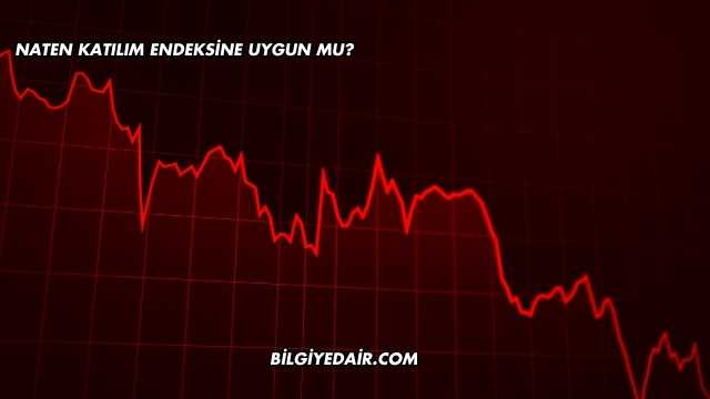 Naten Katılım Endeksine Uygun mu?
