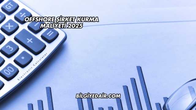 Offshore Şirket Kurma Maliyeti 2025