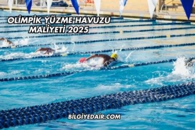 Olimpik Yüzme Havuzu Maliyeti 2025