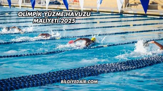 Olimpik Yüzme Havuzu Maliyeti 2025