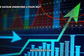 Patek Katılım Endeksine Uygun mu?