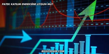 Patek Katılım Endeksine Uygun mu?