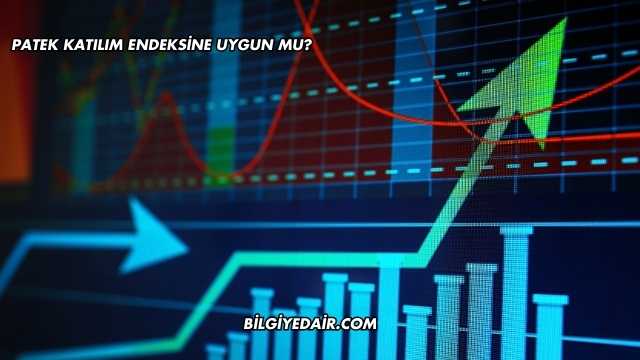 Patek Katılım Endeksine Uygun mu?