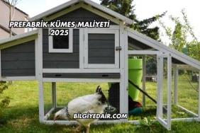 Prefabrik Kümes Maliyeti 2025