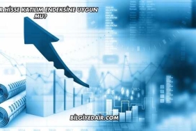 Reeder Hisse Katılım Endeksine Uygun mu?