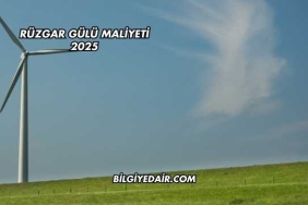 Rüzgar Gülü Maliyeti 2025