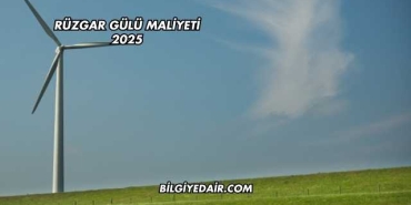 Rüzgar Gülü Maliyeti 2025