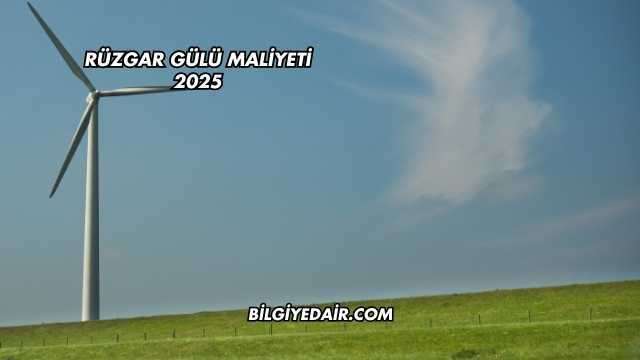 Rüzgar Gülü Maliyeti 2025