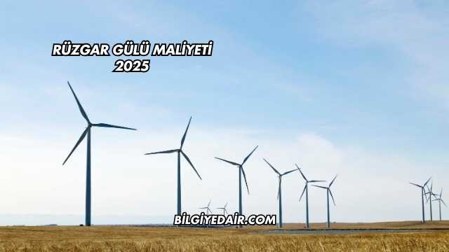 Rüzgar Gülü Maliyeti 2025