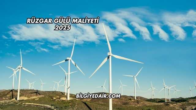 Rüzgar Gülü Maliyeti 2025