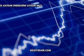 SAHOL Katılım Endeksine Uygun mu?
