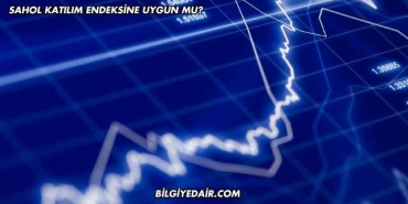 SAHOL Katılım Endeksine Uygun mu?