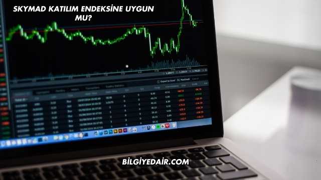 SKYMAD Katılım Endeksine Uygun mu?