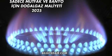 Sadece Mutfak ve Banyo İçin Doğalgaz Maliyeti 2025