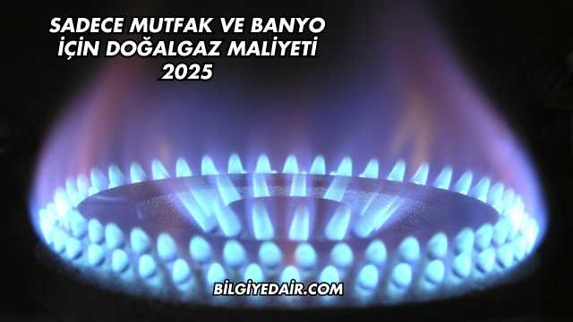 Sadece Mutfak ve Banyo İçin Doğalgaz Maliyeti 2025