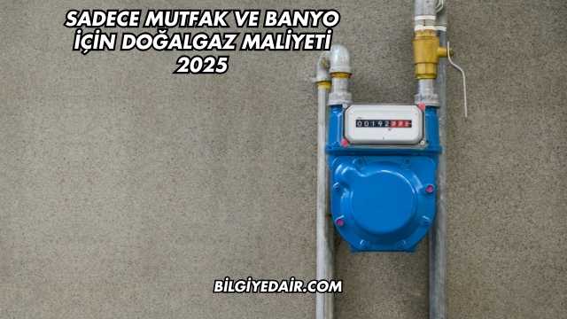 Sadece Mutfak ve Banyo İçin Doğalgaz Maliyeti 2025