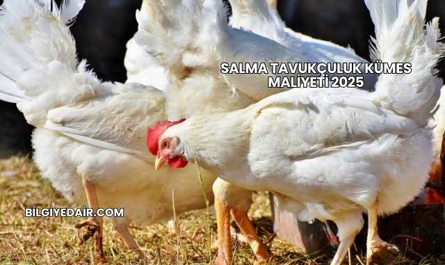 Salma Tavukçuluk Kümes Maliyeti 2025