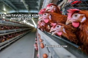Salma Tavukçuluk Kümes Maliyeti 2025