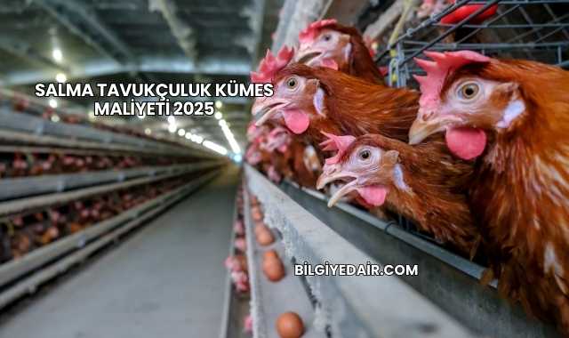 Salma Tavukçuluk Kümes Maliyeti 2025