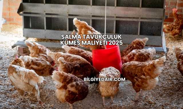 Salma Tavukçuluk Kümes Maliyeti 2025