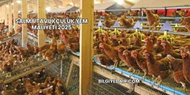Salma Tavukçuluk Yem Maliyeti 2025