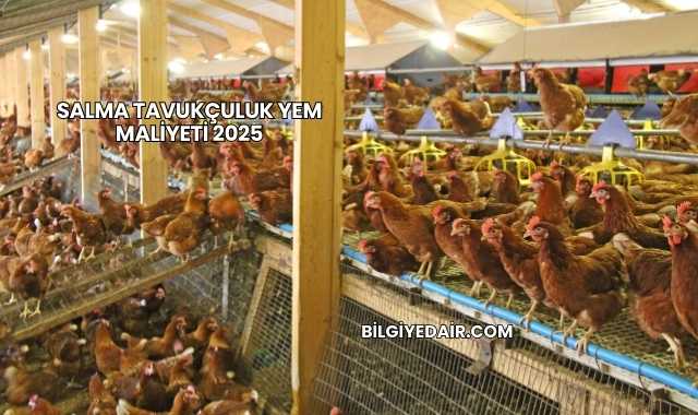 Salma Tavukçuluk Yem Maliyeti 2025