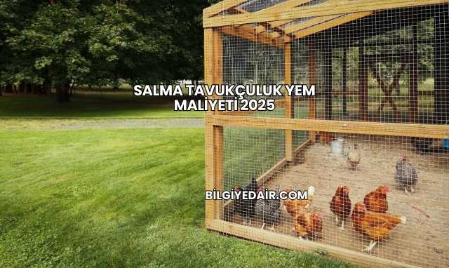 Salma Tavukçuluk Yem Maliyeti 2025