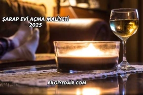 Şarap Evi Açma Maliyeti 2025