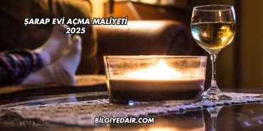 Şarap Evi Açma Maliyeti 2025