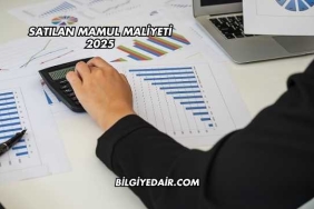 Satılan Mamul Maliyeti 2025