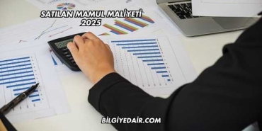 Satılan Mamul Maliyeti 2025