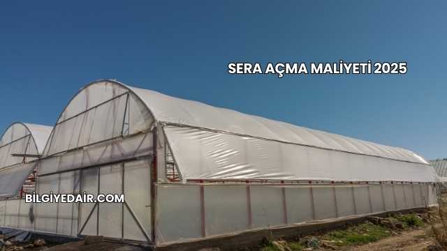 Sera Açma Maliyeti 2025
