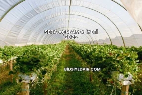 Sera Açma Maliyeti 2025