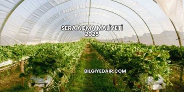 Sera Açma Maliyeti 2025