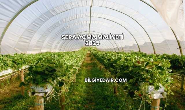 Sera Açma Maliyeti 2025
