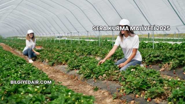 Sera Kurma Maliyeti 2025