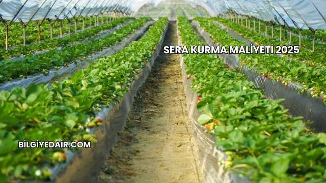 Sera Kurma Maliyeti 2025