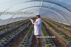 Sera Kurma Maliyeti 2025