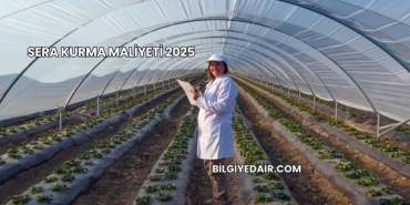 Sera Kurma Maliyeti 2025