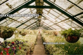 Sera Kurma Maliyeti 2025