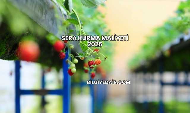 Sera Kurma Maliyeti 2025