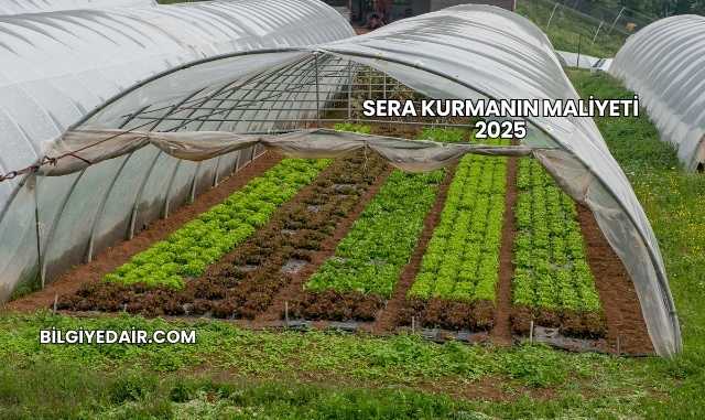 Sera Kurmanın Maliyeti 2025