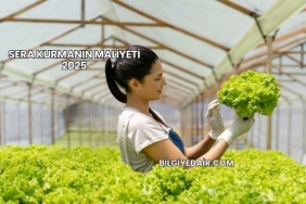 Sera Kurmanın Maliyeti 2025