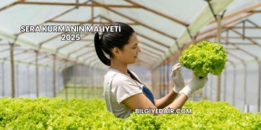Sera Kurmanın Maliyeti 2025