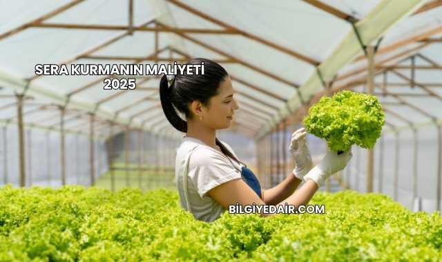 Sera Kurmanın Maliyeti 2025