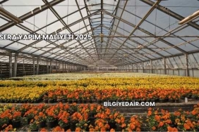 Sera Yapım Maliyeti 2025