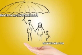 Sigorta Maliyetleri 2025