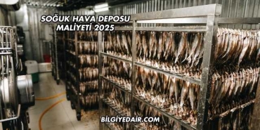 Soğuk Hava Deposu Maliyeti 2025