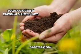 Solucan Gübresi Kurulum Maliyeti 2025